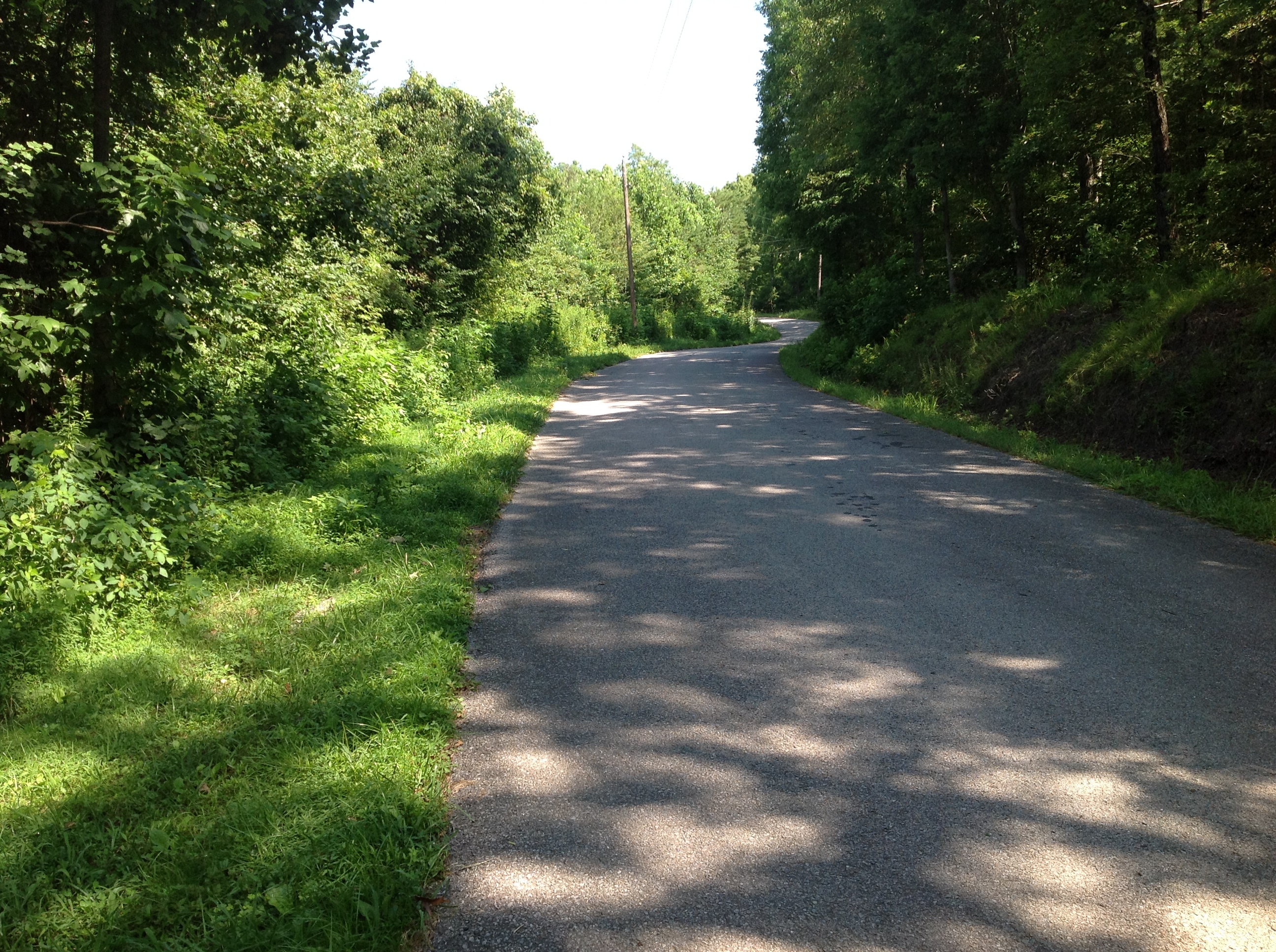 A paved road in the middle of a wooded area.