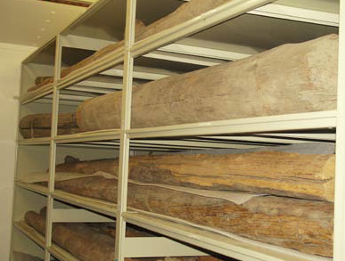 Collection Condition Survey Images - 2012