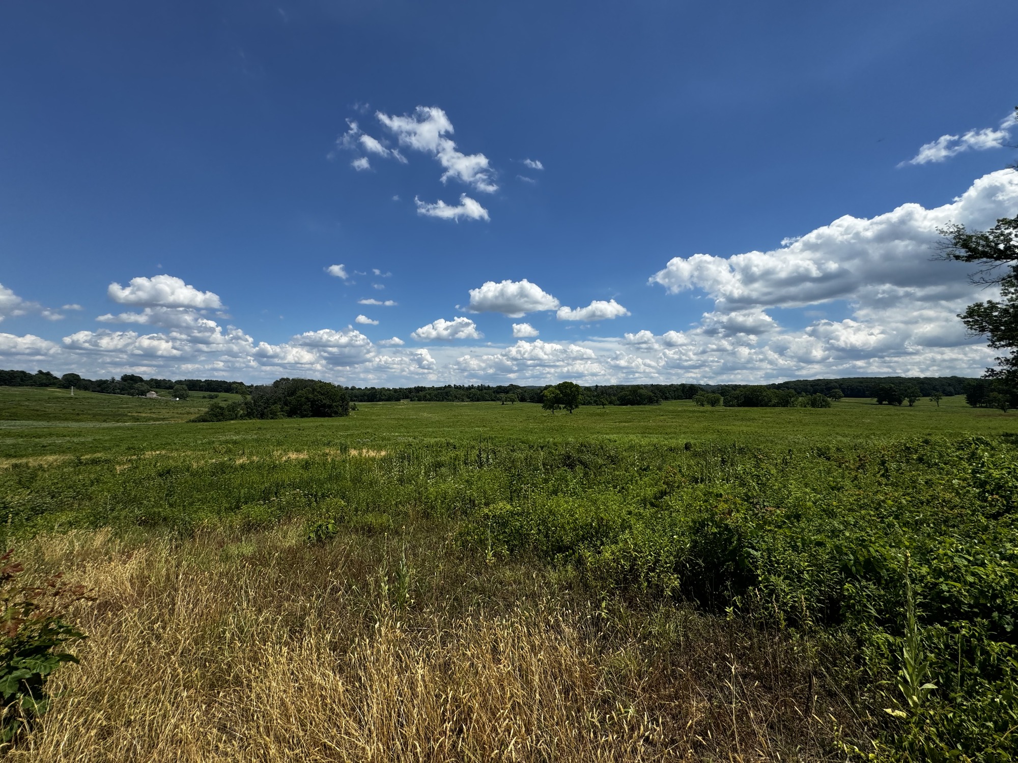 Open Grassland at the Grand Parade in Valley Forge National Historical Park