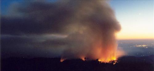 Sunset prescribed burn in Grant Grove, Sequoia and Kings Canyon National Parks, fall 2002