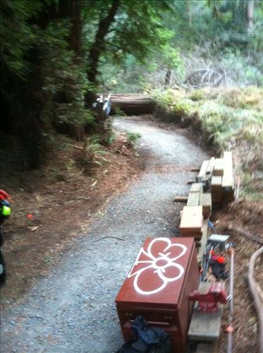 Rehabilitate and Upgrade Muir Woods Trails to meet Outdoor Accessible Guidelines- Trails Forever