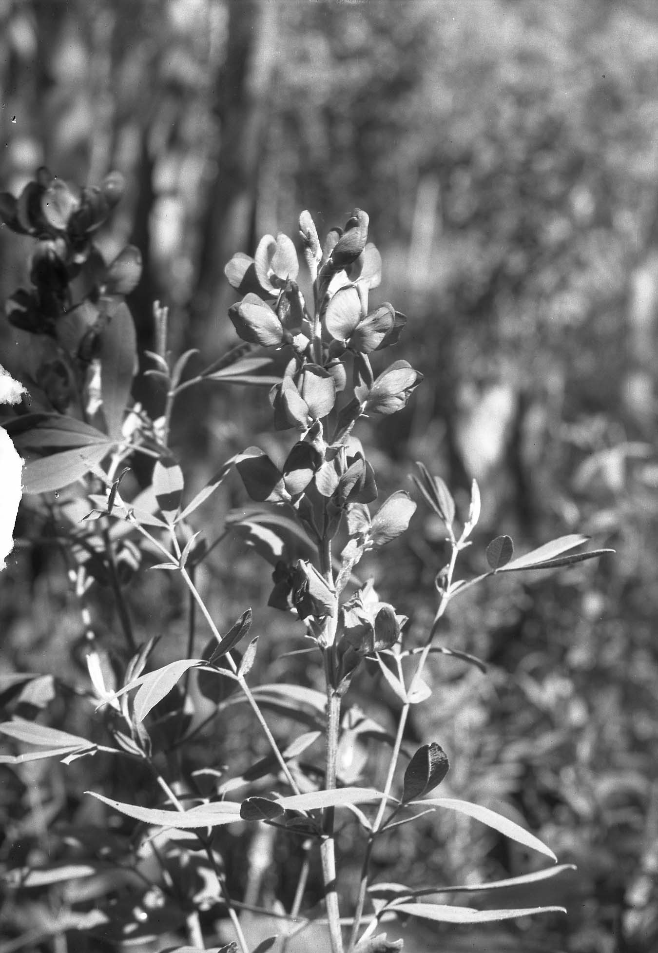 Rocky Mountain National Park