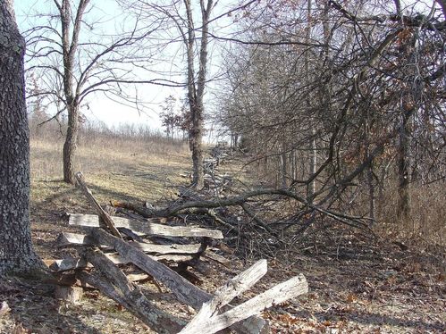 Wilson's Creek National Battlefield Ice Storm, January 2007, Before and During Clean Up