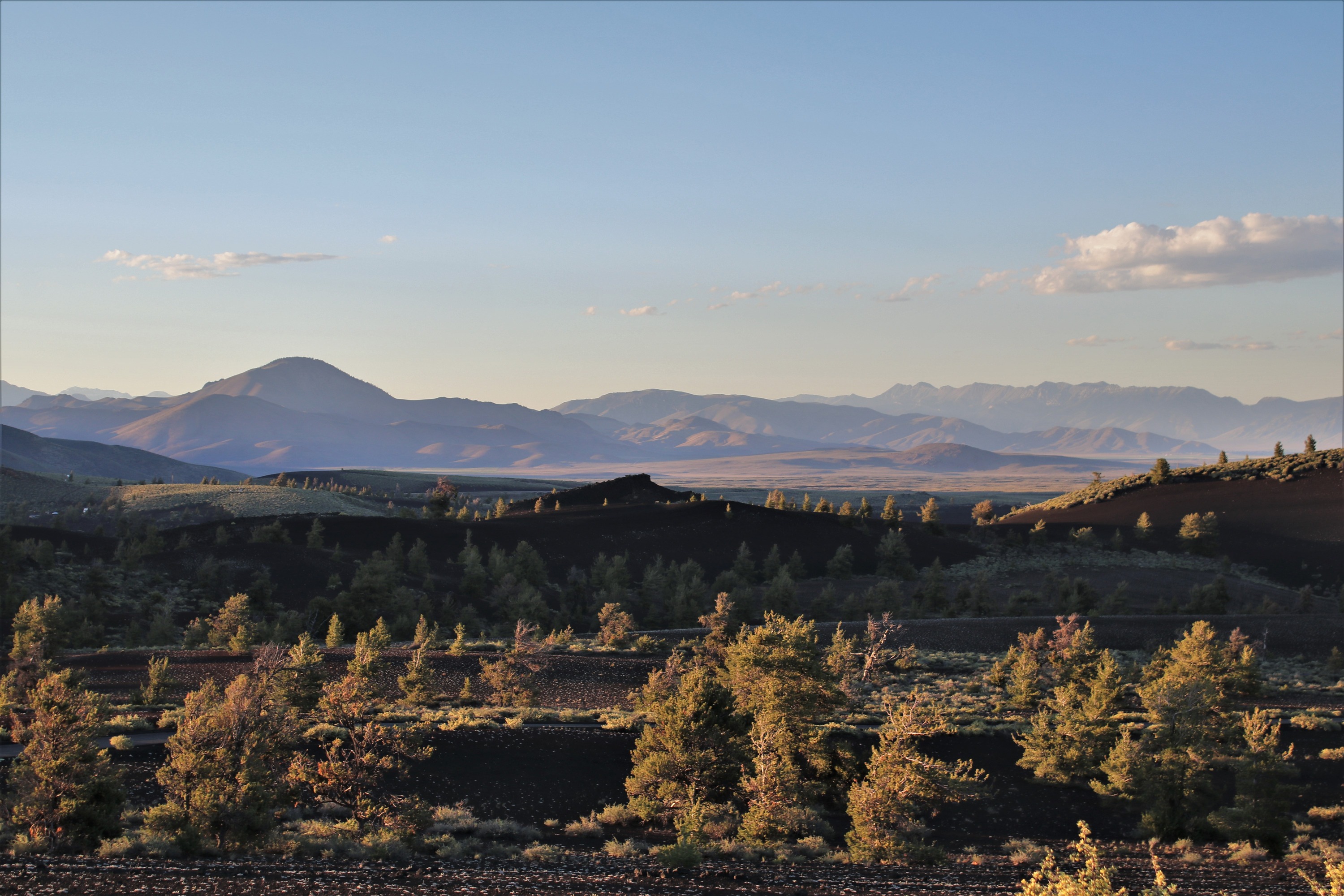 a volcanic landscape with black, rolling hills dotted with pine trees and mountains in the distance at sunset