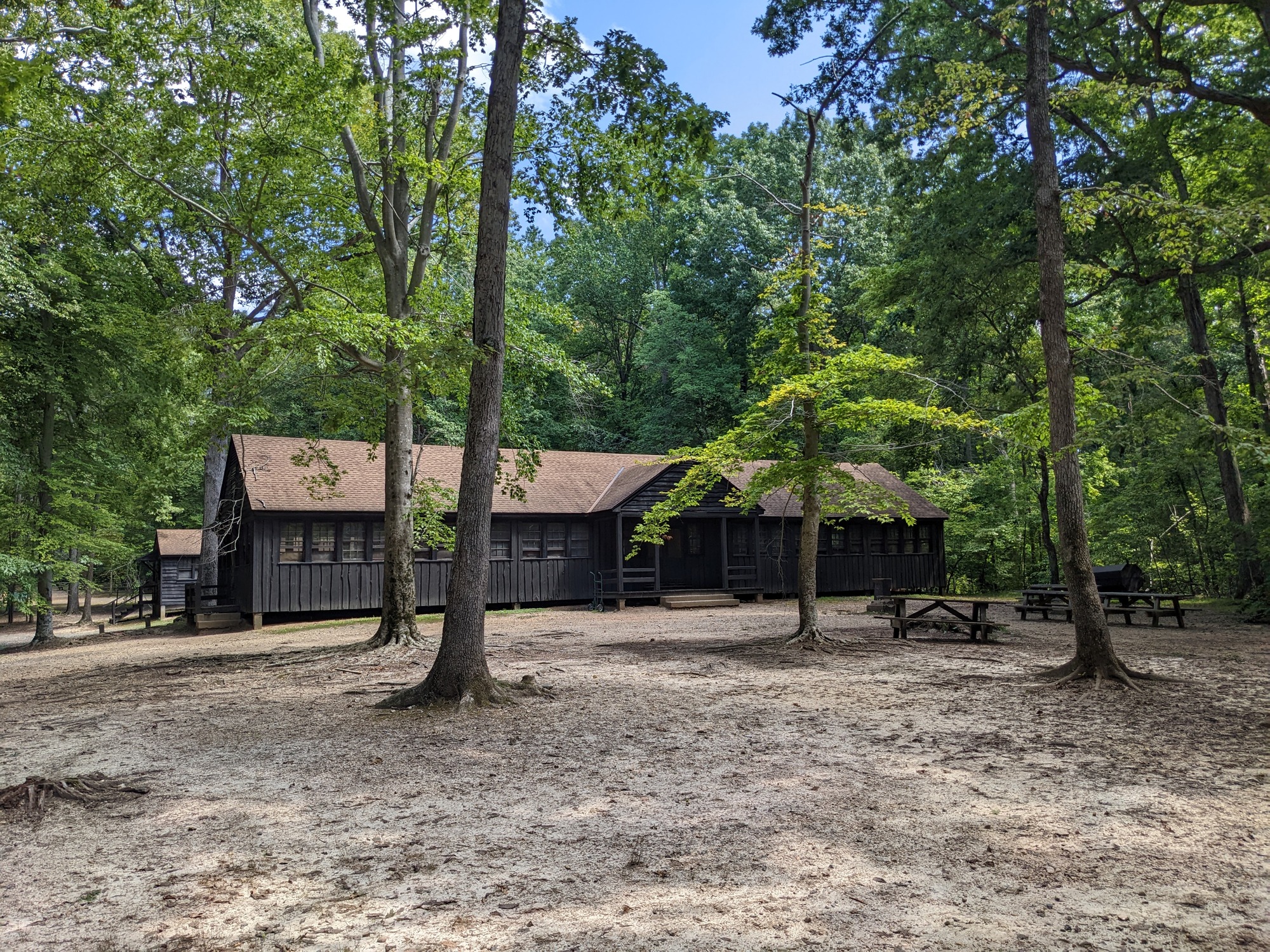 Large wooden building sits among trees in a green forest