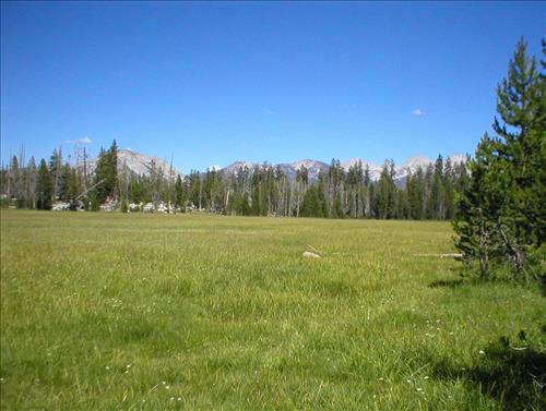 Ellis Meadow in Aug. 2003, Sequoia and Kings Canyon National Park
