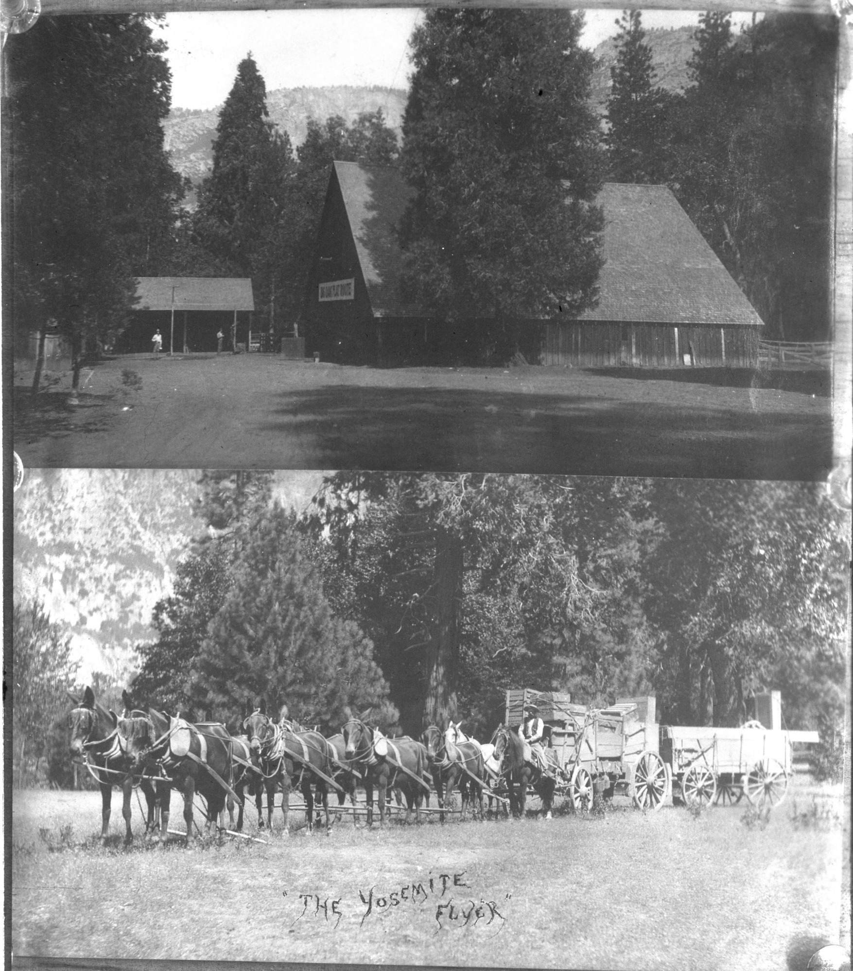 Stage barns near Clark's Bridge (down?) in 1917, top photo. The Yosemite Flyer - freight team, bottom photo.