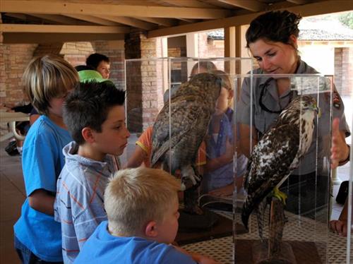 Junior Ranger Explorer Day Camp