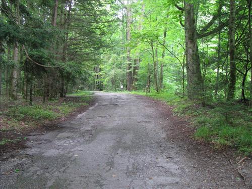 ARRA-Construction of Little River and Jakes Creek Trailhead Parking Areas in Elkmont Historic District, Great Smoky Mountains National Park, 2010