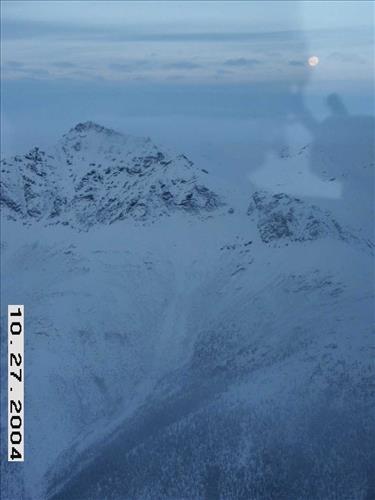 1 Gates of the Arctic National Park and Preserve Koyukuk Moose Survey 2004