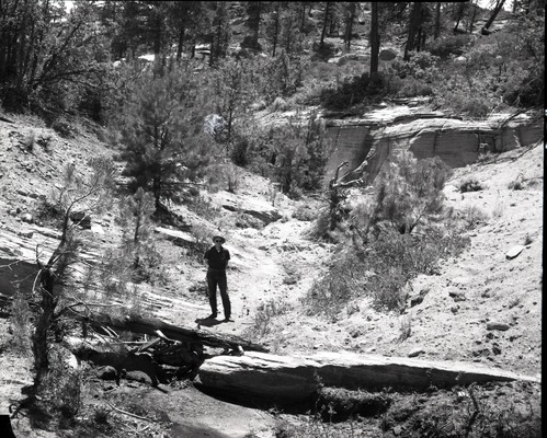 Vandalism of natural resources at Neck Spring, 50 yards below the spring. Water matters involving Evan S. Lee.