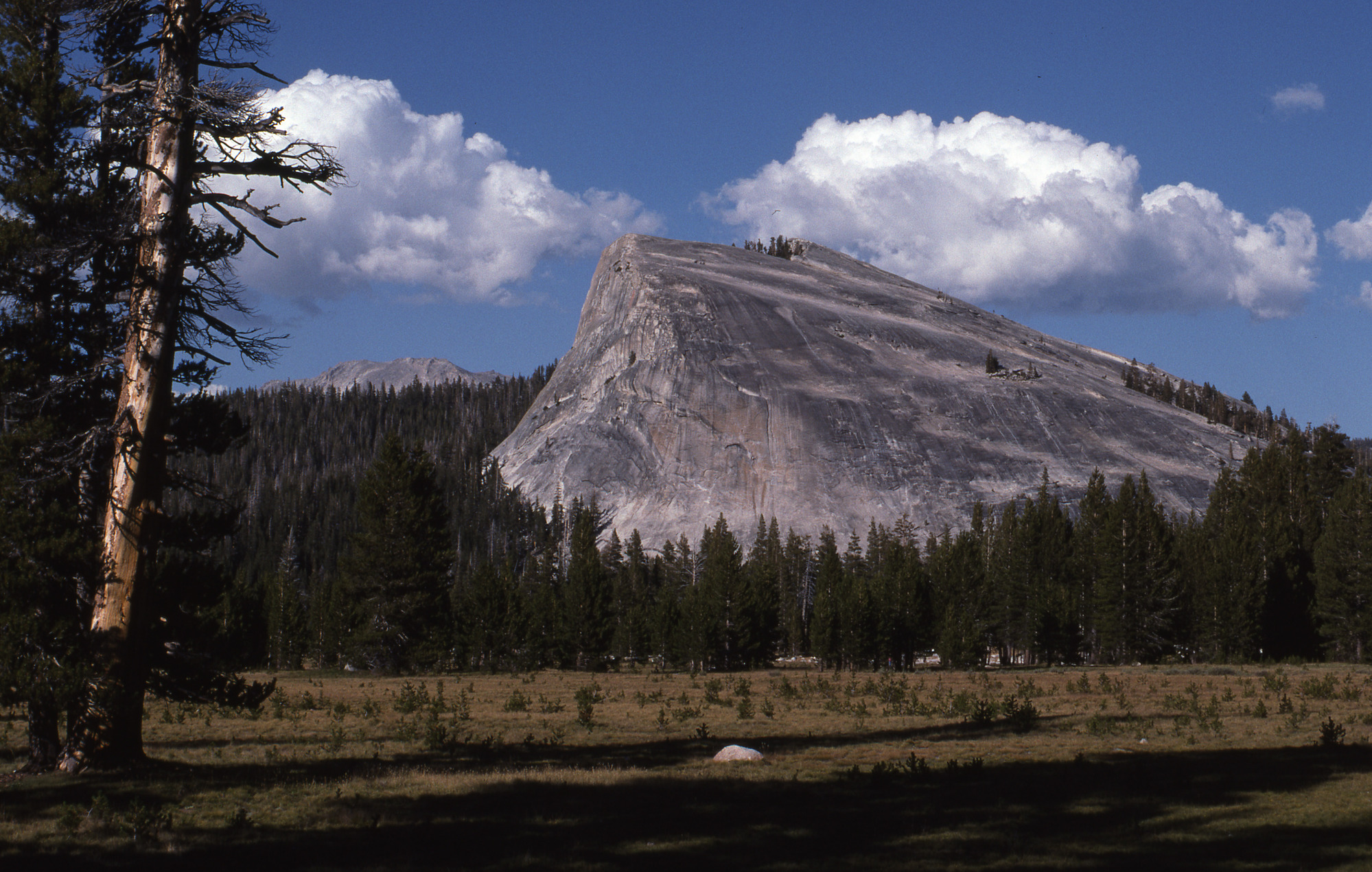 Tuolumne Meadows