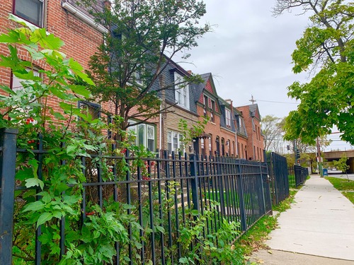 A photo of a red brick row homes. Several of the homes have iron black fences along the front. Greenery peeks through the closest fence in the photo. The others have mowed grass front yards. 