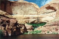 Photograph of Navajo Sandstone alcove with a hanging garden in Knowles Canyon, Glen Canyon National Recreation Area.