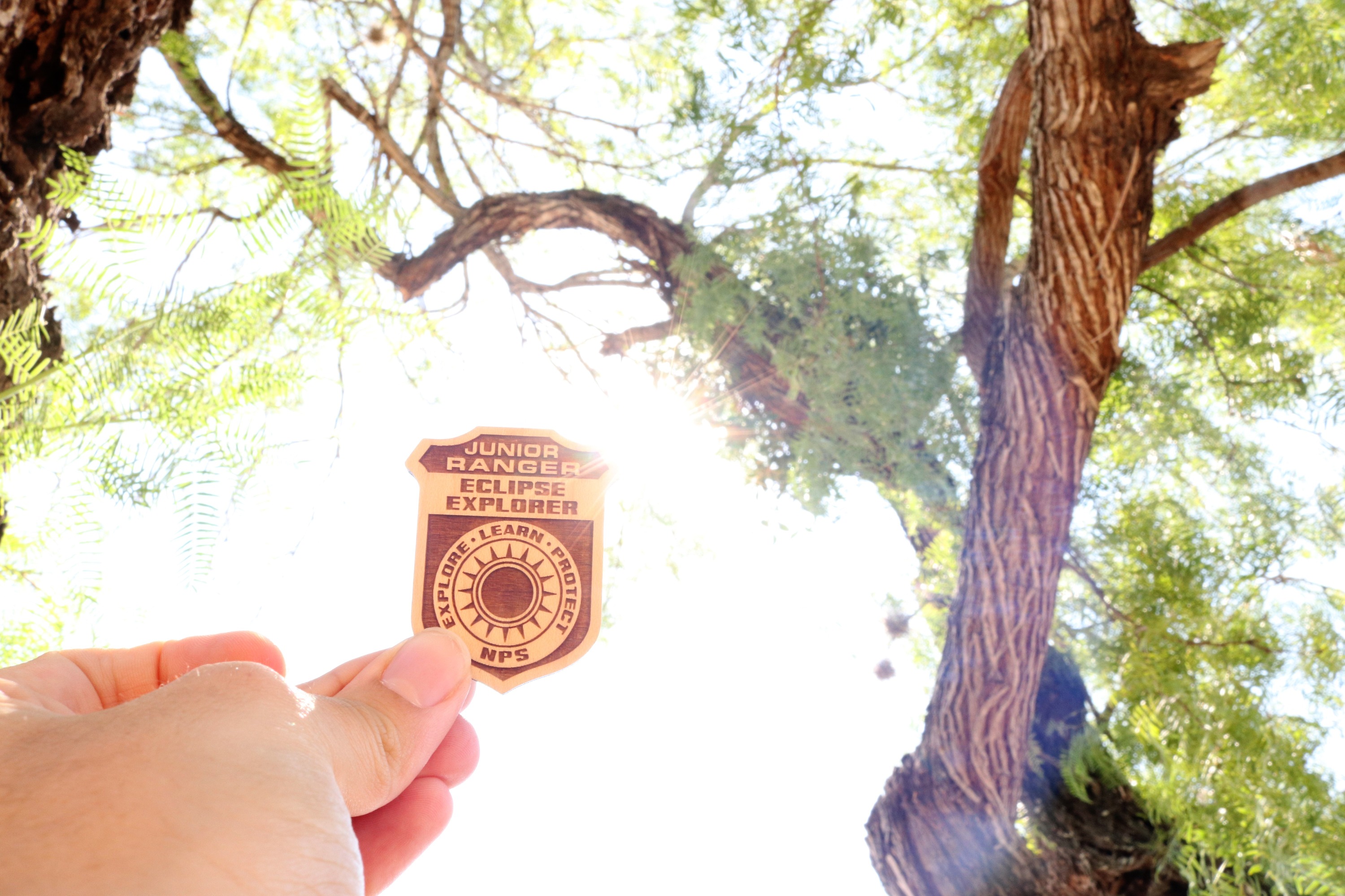 Eclipse Explorer Badge with a tree in the background