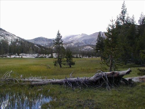 Gallats Lake Meadow in Aug. 2003, Sequoia and Kings Canyon National Park