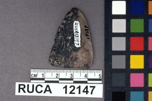 RUCA   12147 -- Point, Projectile