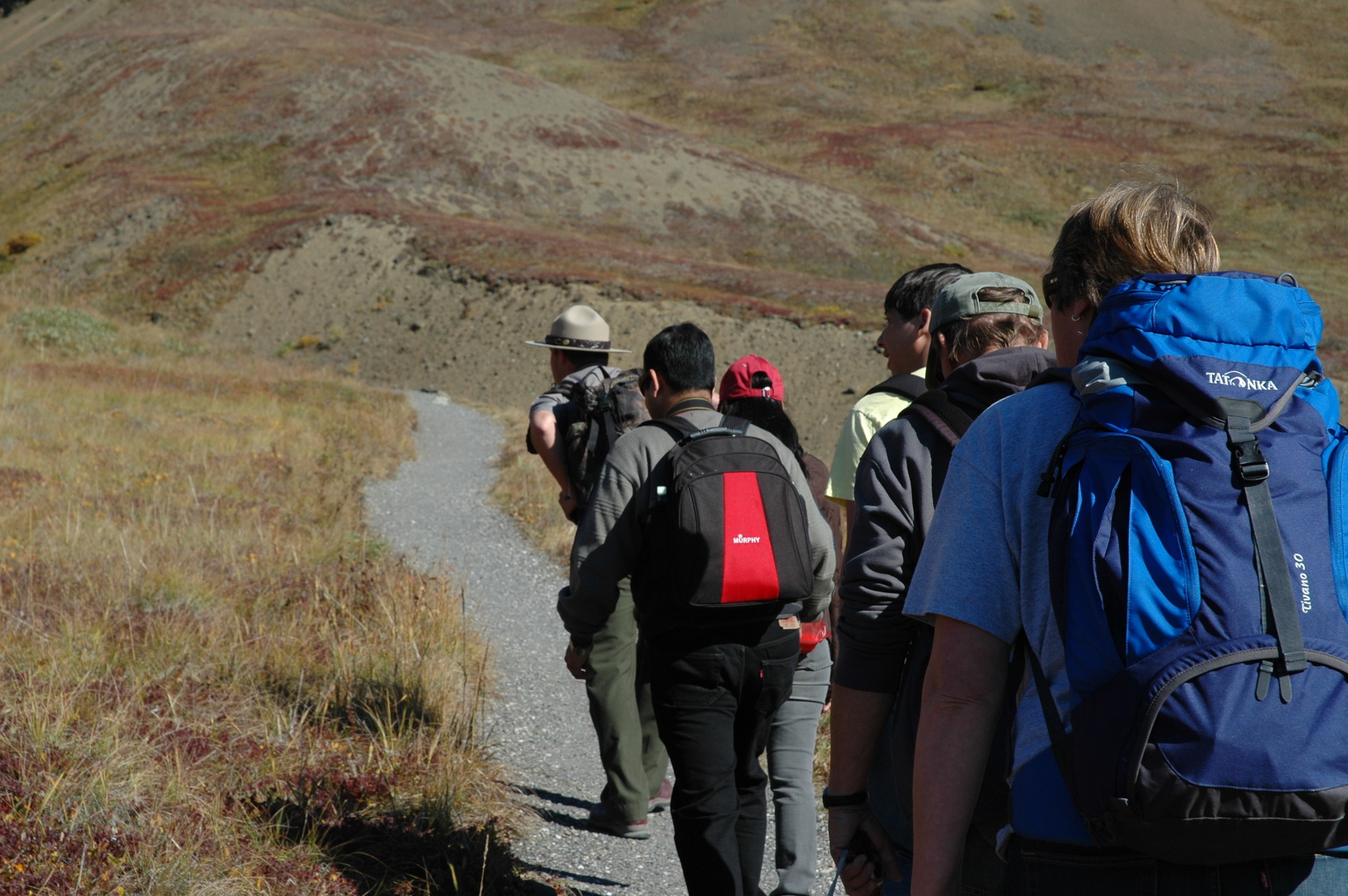 five people and a ranger hiking on a tundra hillside