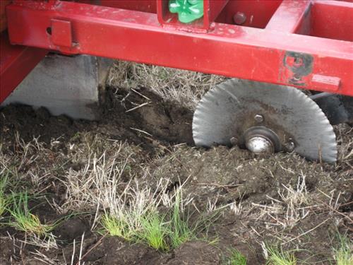 Prairie Restoration, Part 2