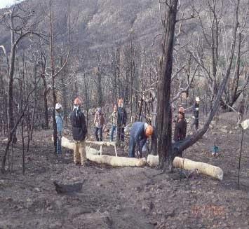 Erosion control measures installed by BAER Rehabilitation Team following fires in 2000, Mesa Verde National Park