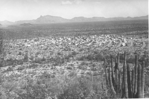 A wide view of a desert landscape, with cacti in the foreground and mountains in the distance. The loops of a campground arch across the terrain.