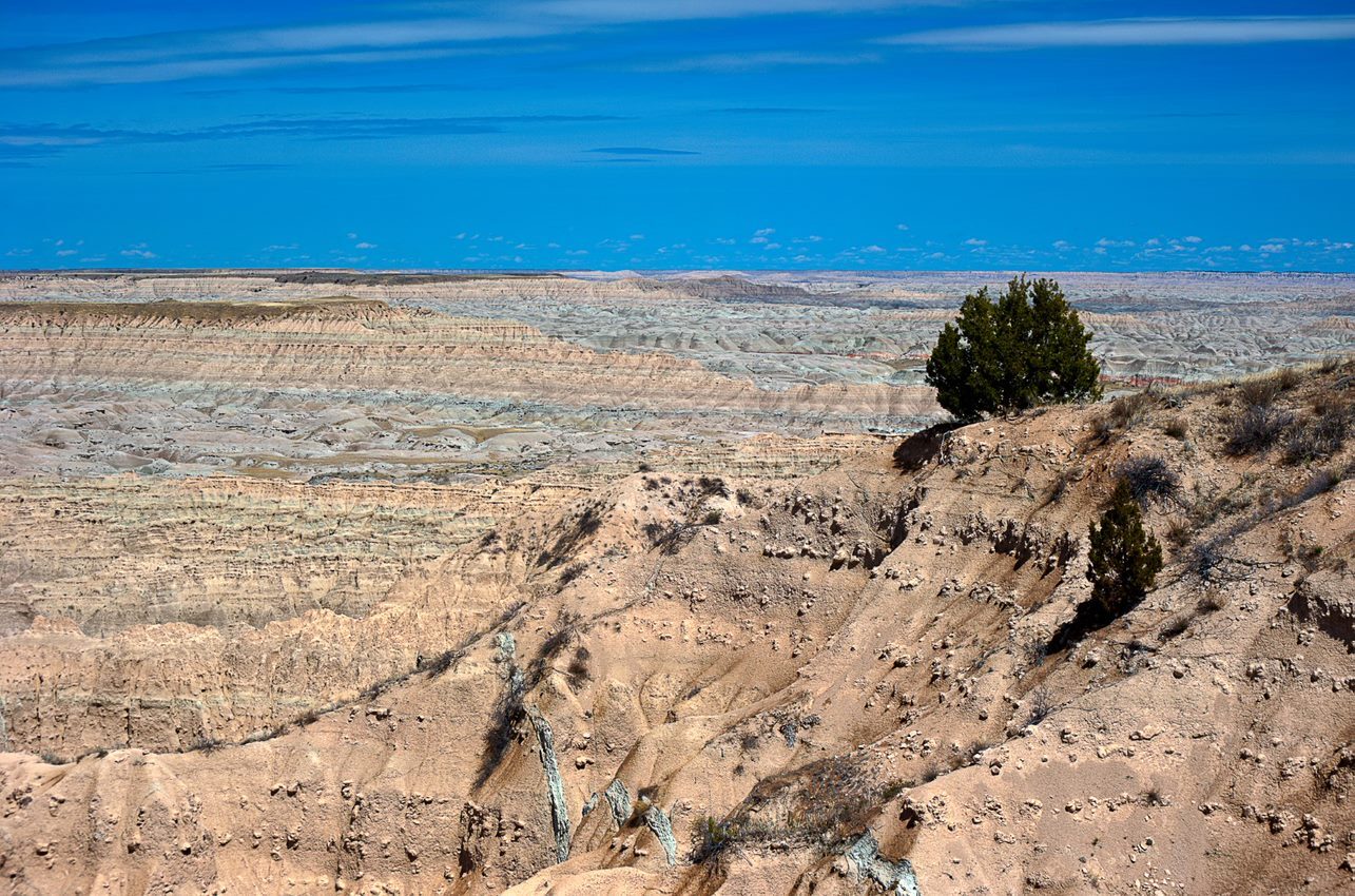 Badlands rock formations, containing orange and grey layers, expand across the entire landscape with a few juniper trees on a perch in the upper right