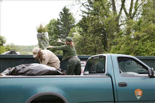 Invasive plant disposal during River Day 2007 in Cuyahoga Valley National Park