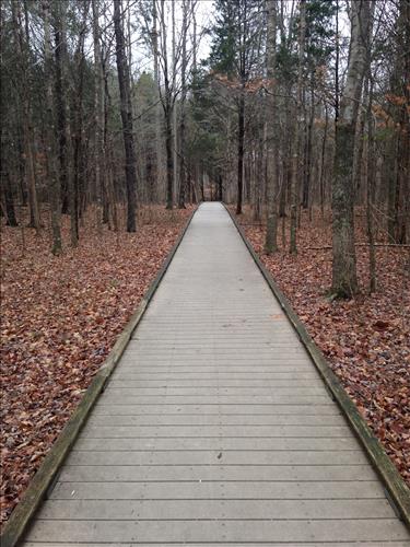 Mammoth Cave Sand Cave Trail