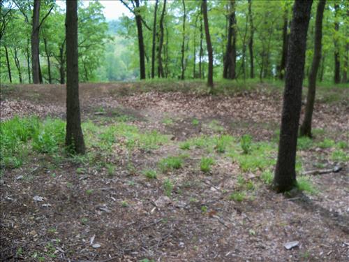 Landscape Amenities with CCCWV