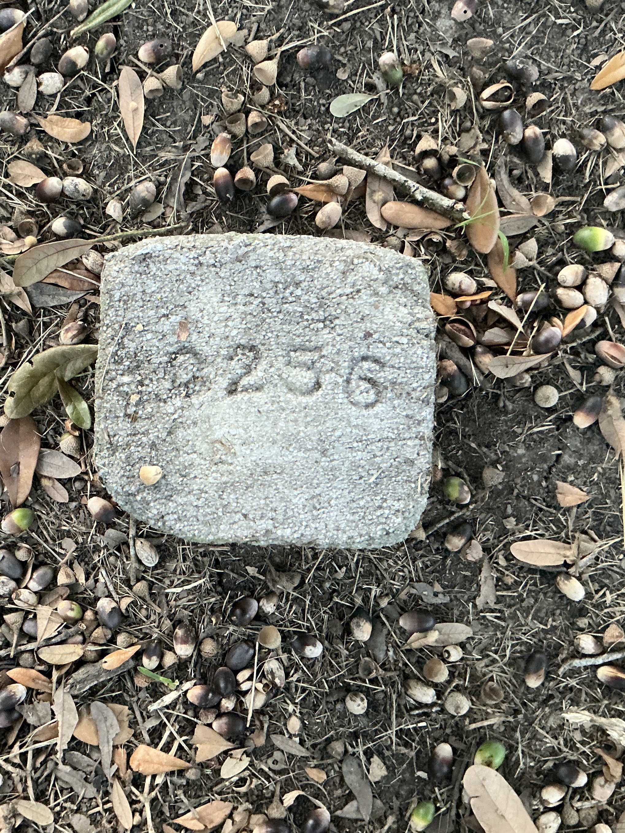Top of flat marble marker