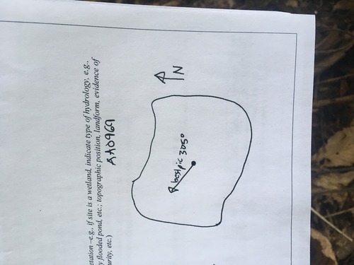 GRSM Accuracy Assessment. Plot Code: GRSM_AA_0969_7