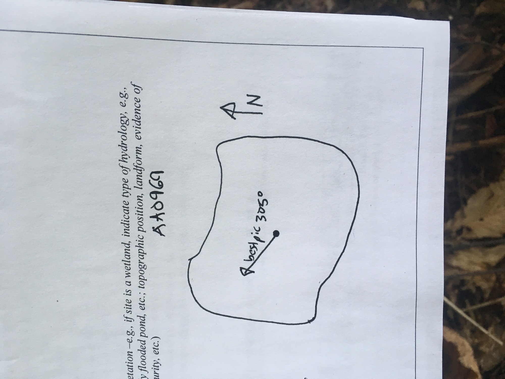 GRSM Accuracy Assessment. Plot Code: GRSM_AA_0969_7