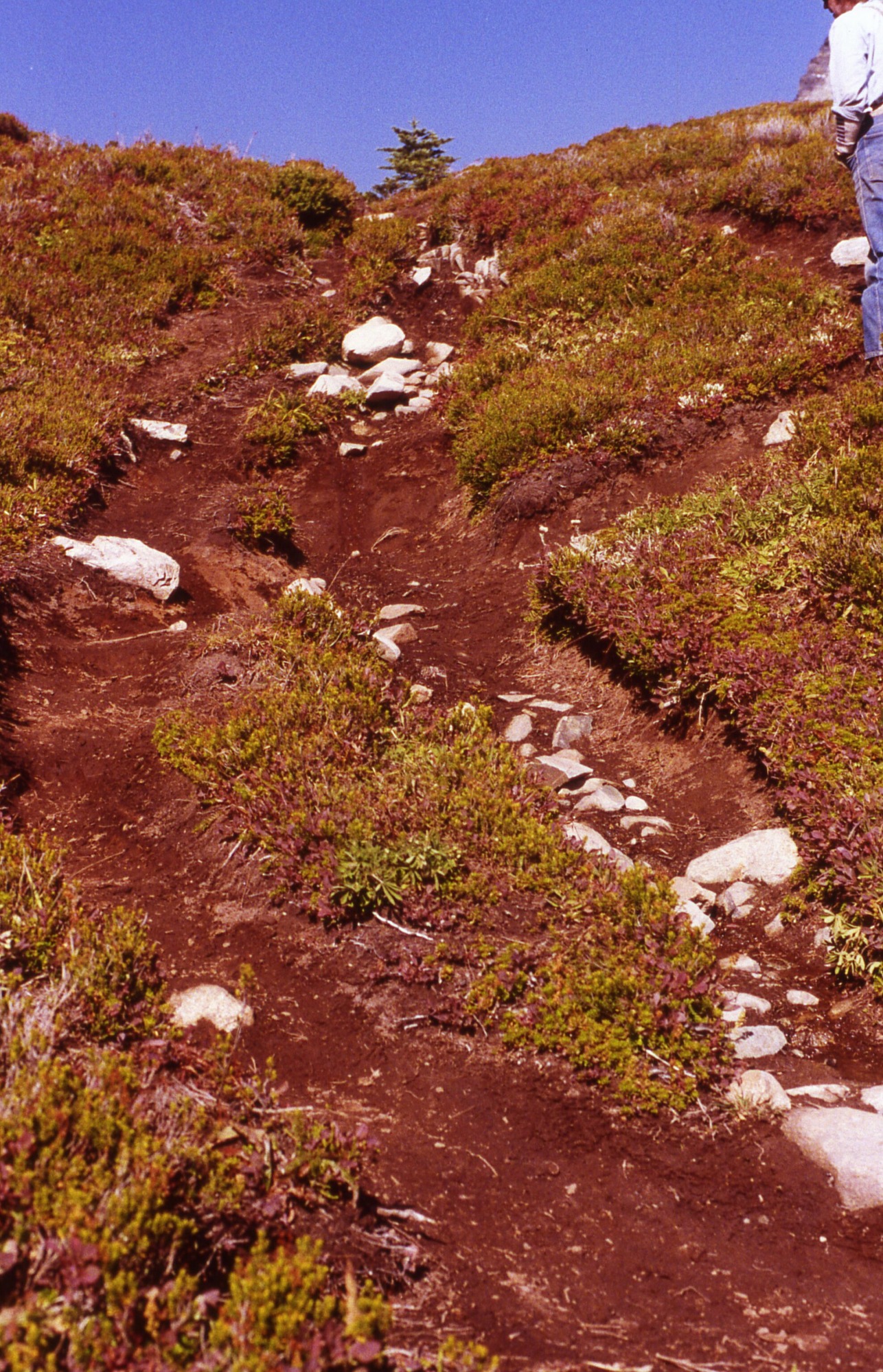 A rocky, braided trail leading up a grassy hill. A hiker stands on the trail on the upper right side of the image.