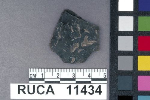 RUCA   11434 -- Point, Projectile
