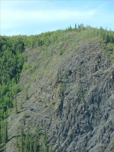 18 Yukon-Charley Rivers National Preserve Peregrine Falcon Survey July 2006