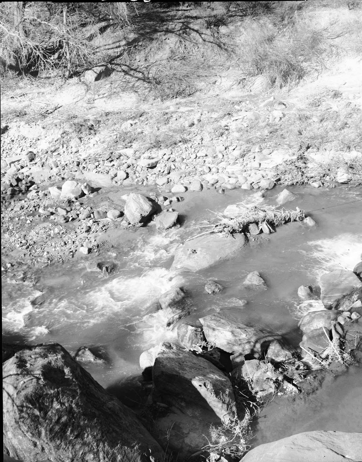 Area of proposed diversion dam on the east side, Virgin River.