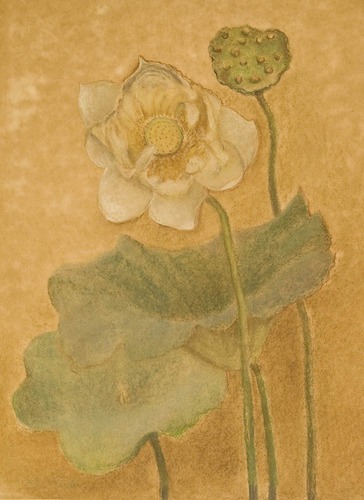 White Lotus, art in pastels