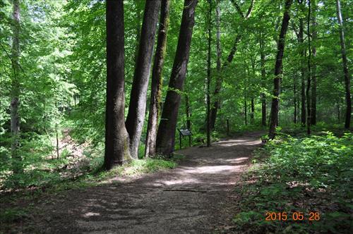 Echo River Springs Trail