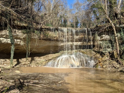 A photograph of a waterfall descending over a rock face made up of a series of beds that are more or less resistant to erosion. Dormant or dead trees and hanging vegetation are visible around and beyond the rock face. A pond dominates the foreground.