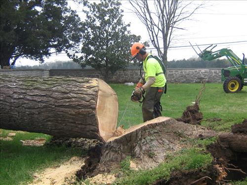 Tornado Damage at Stones River National Battlefield in April 2009