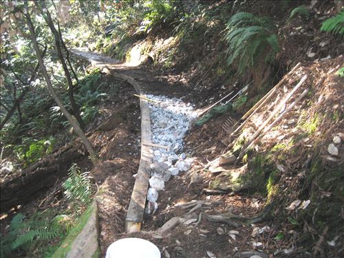 Rec Fee Project: Rehabilitate Notch, Muir Beach Overlook, & Hillside Trails