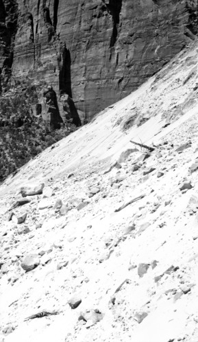 Rock fall in Birch Creek, destruction from concussion blast 250 yards from slide.