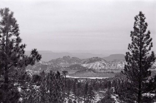 BW photo of the 1937 grazing study 35MM. Photo looking into Lee Valley.