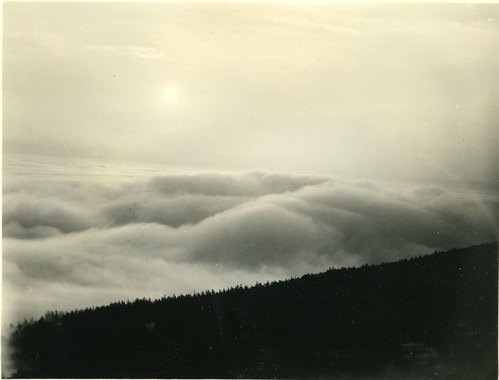 SEA OF FOG FROM MOUNTAIN ROAD