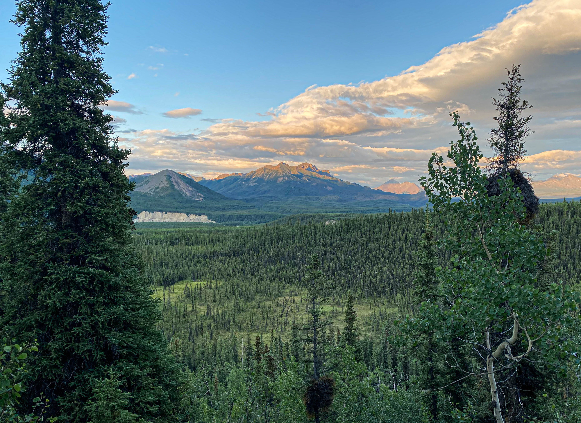 Sunrise over a forested valley 