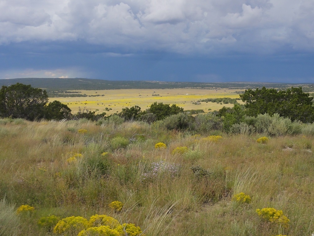 One of the many beautiful views atop the mesa along Gran Quivira's loop trail