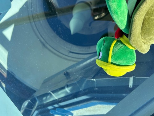 Plush turtle looking through a glass window down at a green tipped missile