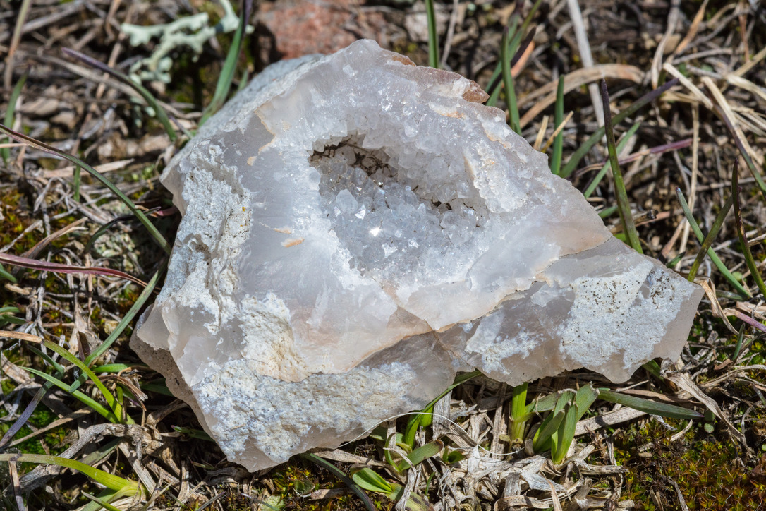 A geode sitting in the grass.