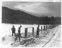 Gerber Meadow Fence Raising 1933. Administrative Collections: Album 9 (Miscellaneous) -CWA workers constructing pasture fence around Gerber Meadow.