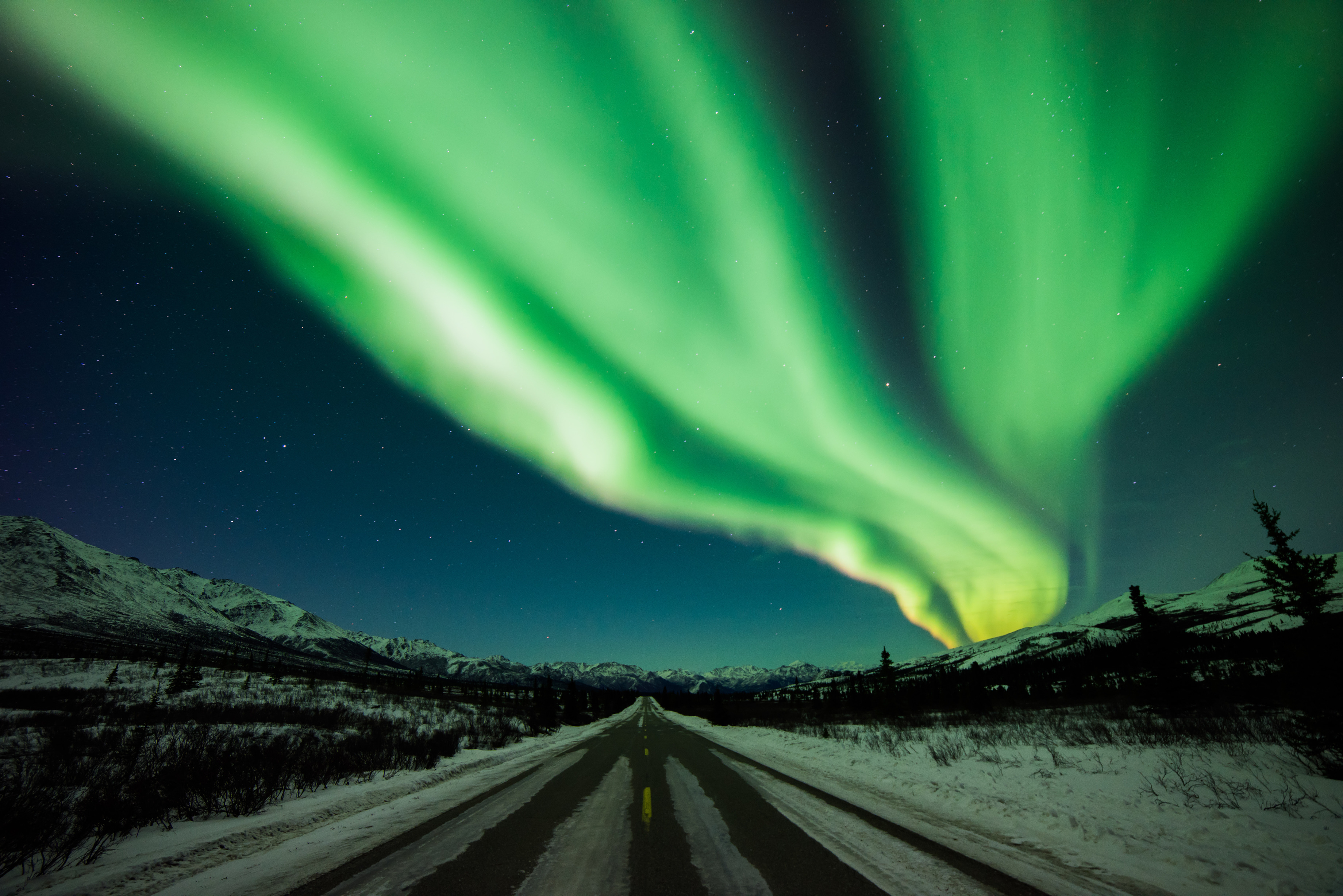 green shimmering northern lights over a snowy forest and mountain landscape
